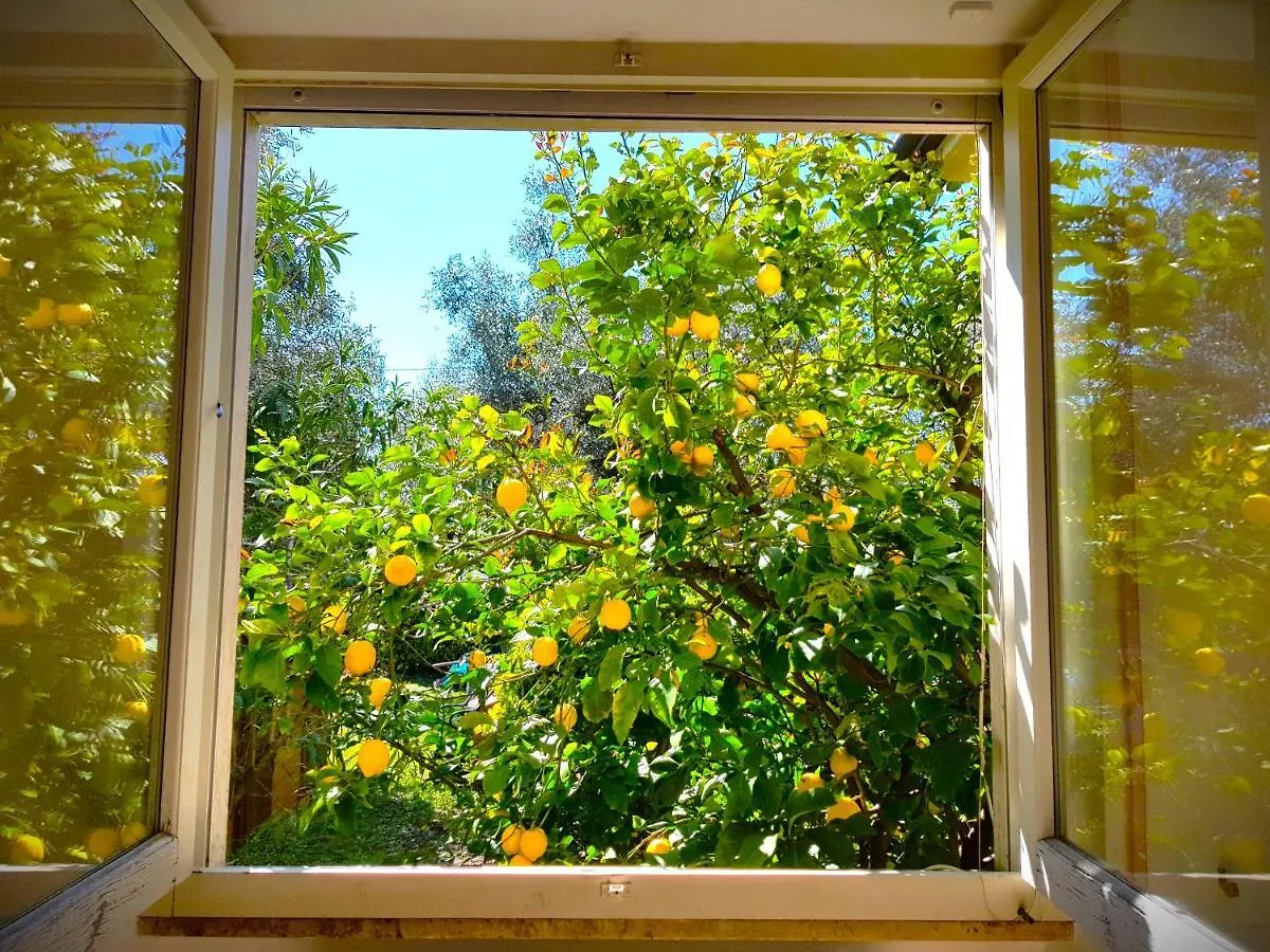 Prázdninový dům Villa Giovannella Relax Forte dei Marmi