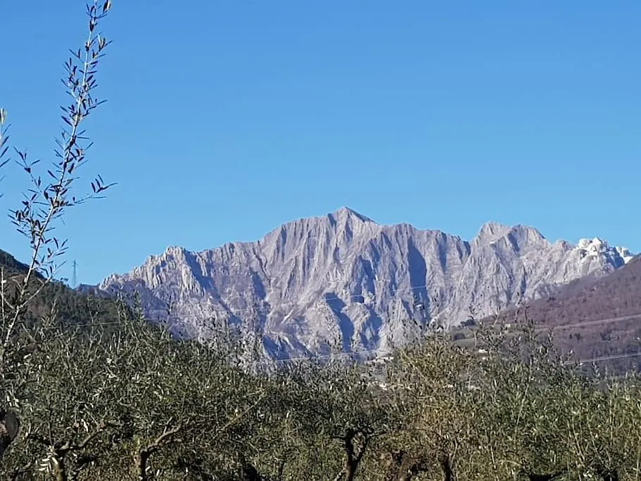 Villa Giovannella Relax Forte dei Marmi Holiday home