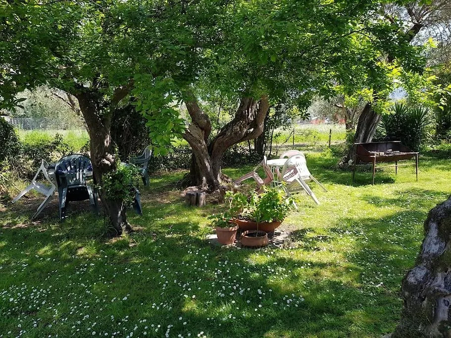 Villa Giovannella Relax Forte dei Marmi